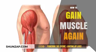 Regain Muscle Mass: Proven Strategies for Rebuilding Strength and Size