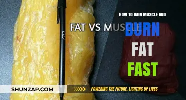 Maximize Muscle Growth and Fat Loss: Proven Strategies for Quick Results