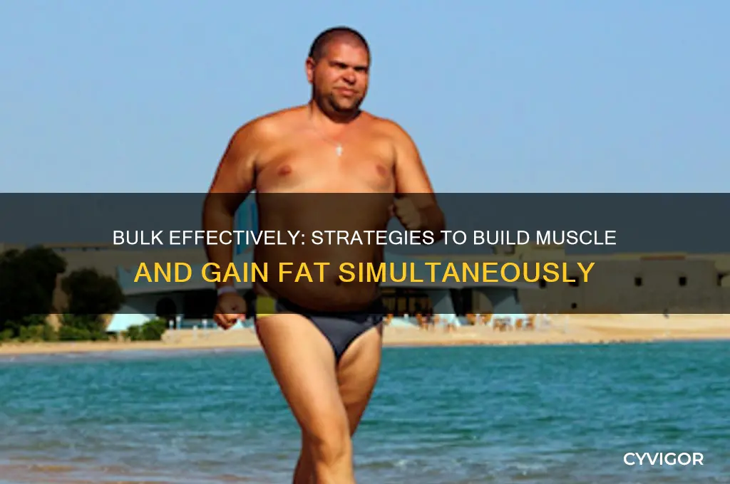 how to gain muscle and fat at the same time