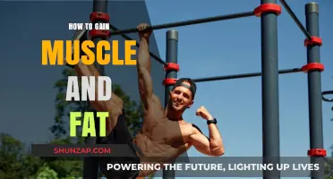 Effective Strategies for Building Muscle and Gaining Healthy Fat Mass