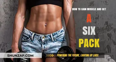 Build Muscle, Sculpt Abs: Your Ultimate Guide to a Six-Pack