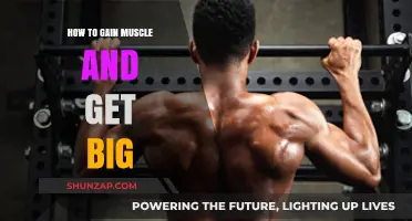 Effective Strategies to Build Muscle Mass and Transform Your Physique