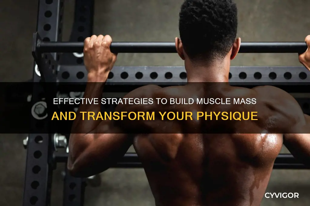 how to gain muscle and get big