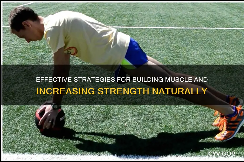 how to gain muscle and get stronger