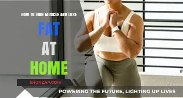 Effective Home Workouts: Build Muscle, Burn Fat, Transform Your Body