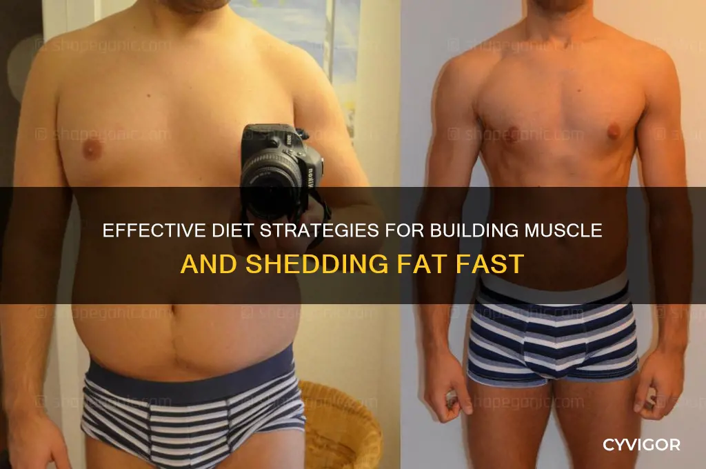 how to gain muscle and lose fat diet plan