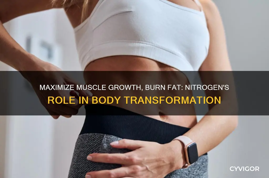 how to gain muscle and lose fat nitrogen