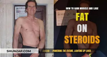 Steroids for Body Recomposition: Building Muscle, Burning Fat Safely