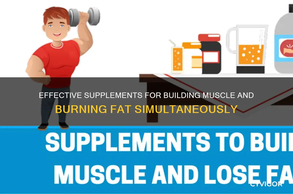 how to gain muscle and lose fat supplements