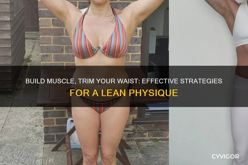 how to gain muscle and shave down stomach