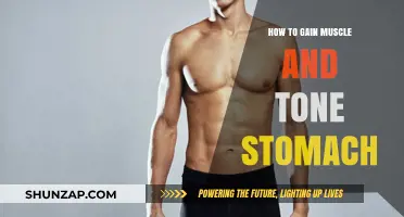 Effective Strategies to Build Muscle and Tone Your Stomach Fast