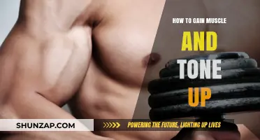 Effective Strategies for Building Muscle and Achieving a Toned Physique