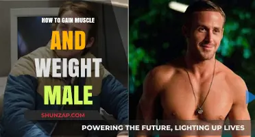 Effective Strategies for Men to Build Muscle and Gain Weight