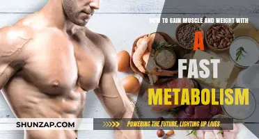 Fuel Your Fast Metabolism: Strategies for Muscle Gain and Weight