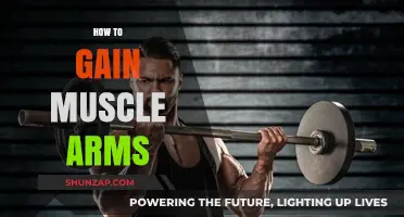 Effective Arm Muscle Building: Tips for Stronger, Bigger Arms Fast