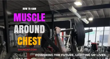 Effective Chest Muscle Building: Tips for Strength and Definition