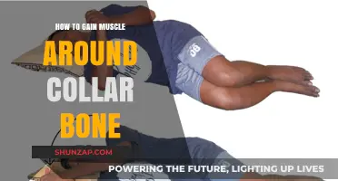 Sculpting Collar Bone Muscles: Effective Exercises and Tips for Definition