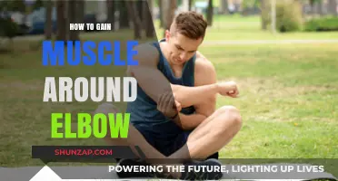 Effective Elbow Muscle Building: Tips for Strength and Definition