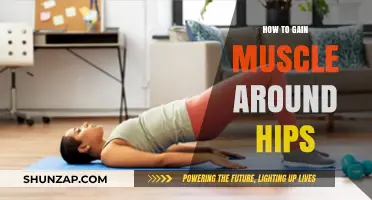 Sculpt Stronger Hips: Effective Exercises for Building Muscle Mass