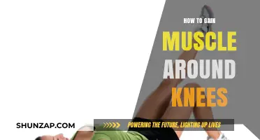 Strengthen Your Knees: Effective Exercises for Building Muscle Around Knees