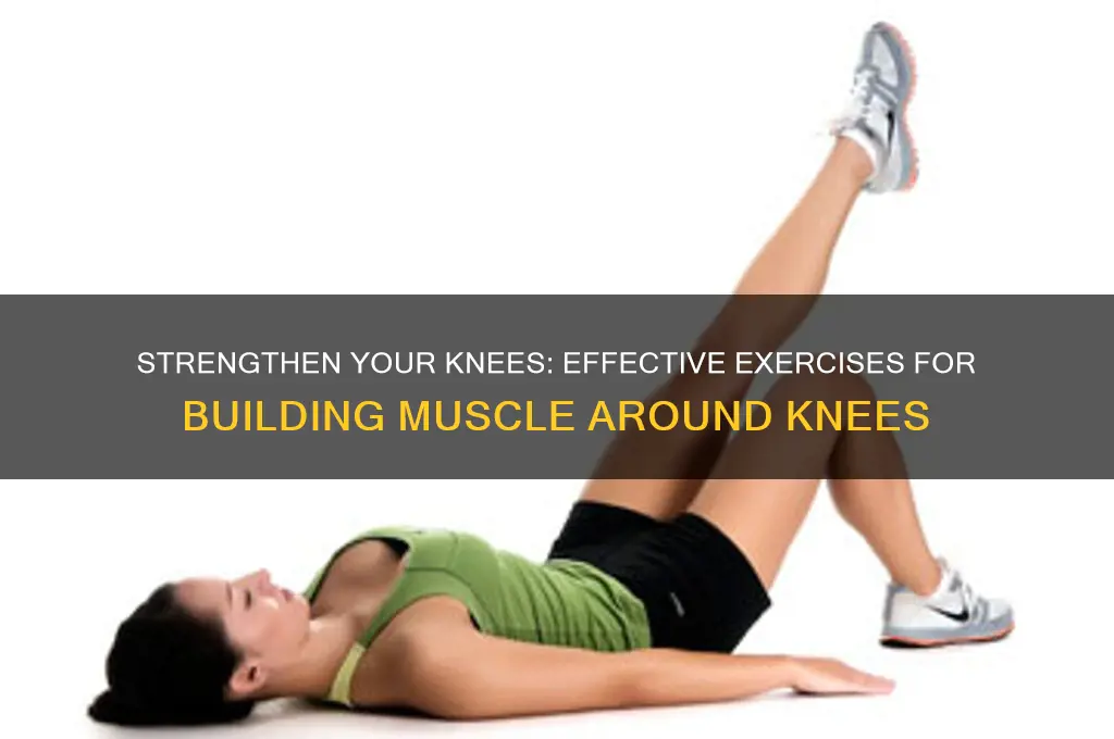 how to gain muscle around knees