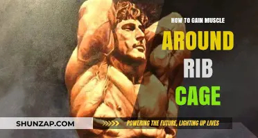 Sculpt Your Rib Cage: Effective Muscle-Building Strategies for a Stronger Core