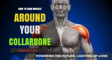 Sculpting Collarbone Definition: Effective Exercises for Muscle Growth