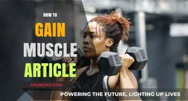 Effective Muscle Building Strategies: Nutrition, Workouts, and Recovery Tips