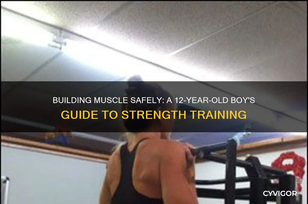 how to gain muscle as a 12 year old boy
