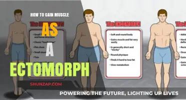 Ectomorph Muscle Building: Strategies for Lean Gainers to Bulk Up