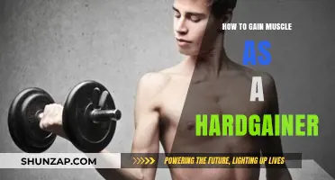 Muscle Building Strategies for Hardgainers: Effective Tips to Gain Mass