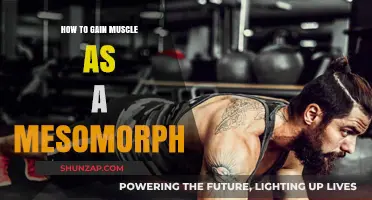 Maximize Mesomorph Muscle Gains: Effective Strategies for Optimal Results