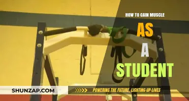 Student's Guide to Building Muscle: Balanced Tips for Busy Schedules