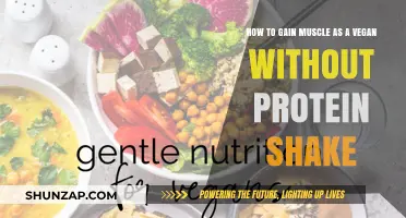 Vegan Muscle Building: Natural Food Strategies Beyond Protein Shakes