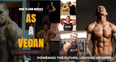 Vegan Muscle Building: Plant-Based Strategies for Strength and Growth