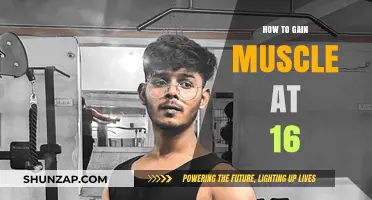 Effective Muscle Building Tips for Teens: A 16-Year-Old's Guide
