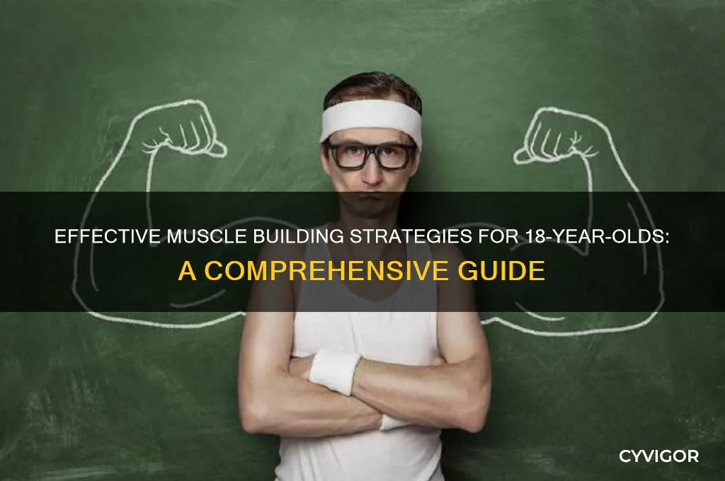 how to gain muscle at 18