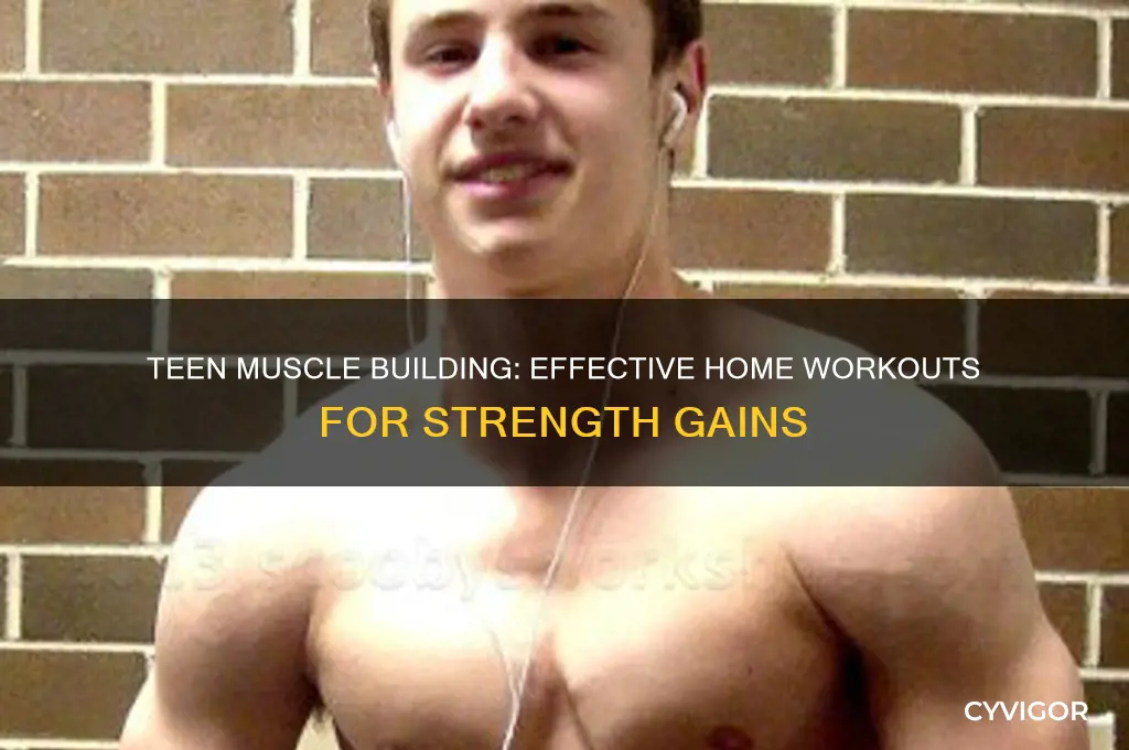 how to gain muscle at home as a teenager