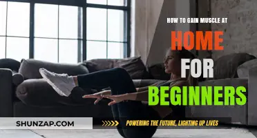Build Muscle at Home: Beginner's Guide to Strength Training