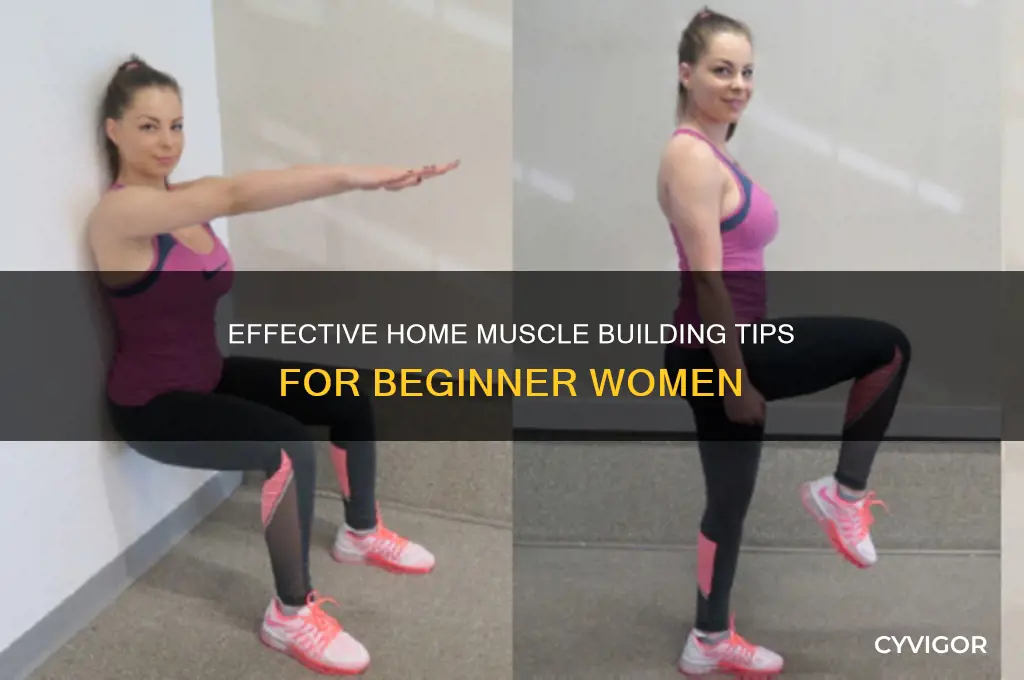 how to gain muscle at home for female for beginners