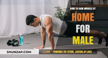 Effective Home Workouts for Men to Build Muscle Fast
