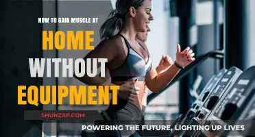 Build Strength at Home: Muscle Gain Without Equipment Guide