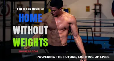 Build Muscle at Home: Effective Bodyweight Training Strategies