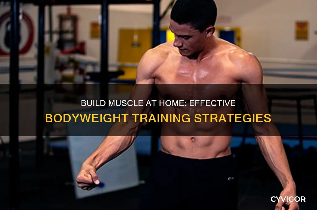 how to gain muscle at home without weights