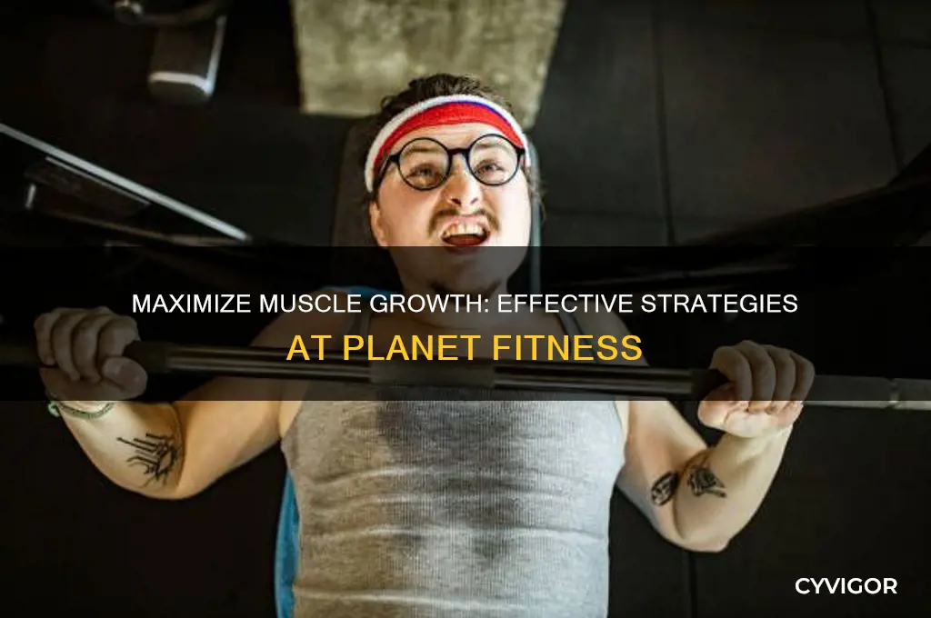 how to gain muscle at planet fitness