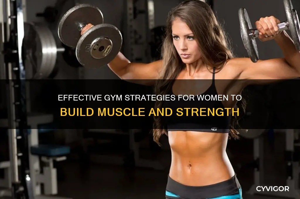 how to gain muscle at the gym women