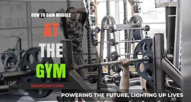 Effective Gym Strategies for Building Muscle Mass and Strength
