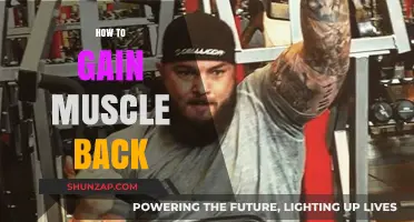 Regain Lost Muscle: Proven Strategies for Rebuilding Strength and Size