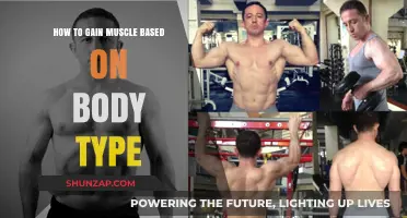 Tailored Muscle Building: Strategies for Your Unique Body Type