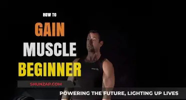 Effective Muscle Building Tips for Beginners: Start Strong, Grow Fast